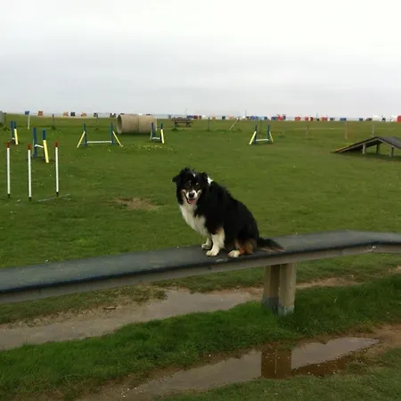 Wattkieker Neßmersiel