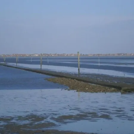 Wattkieker *