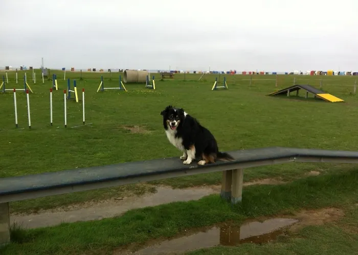 Wattkieker Neßmersiel